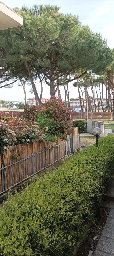 La Casina Di Ale Daire Marina Di Carrara Dış mekan fotoğraf